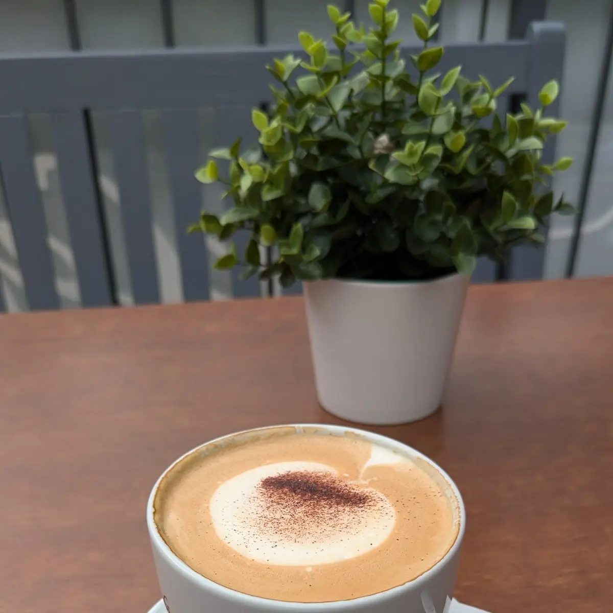 Cappuccino