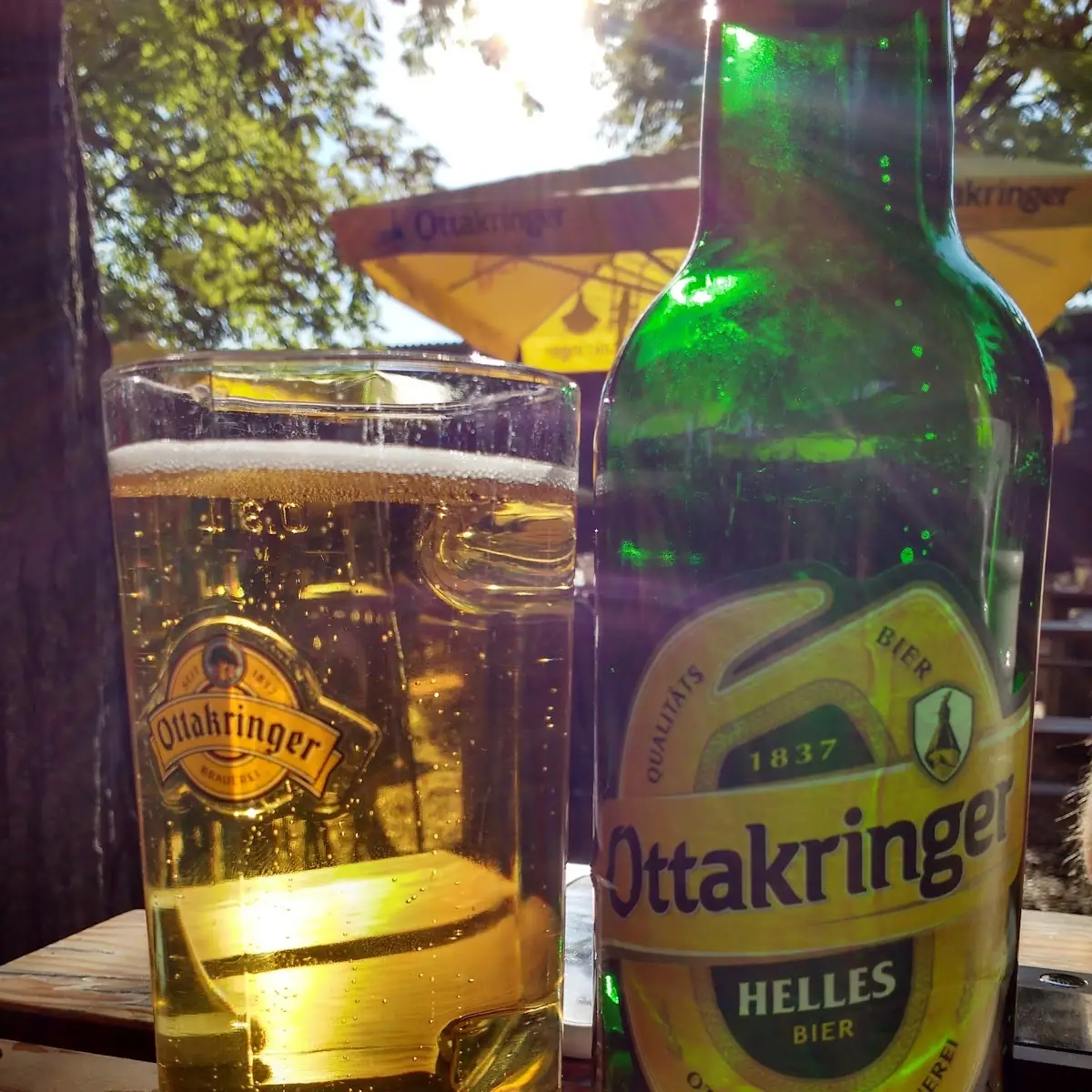 Bier Ottakringer Helles