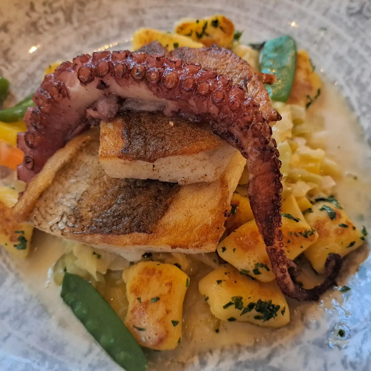 Wolfsbarschfilet Mit Gegrilltem Oktopus