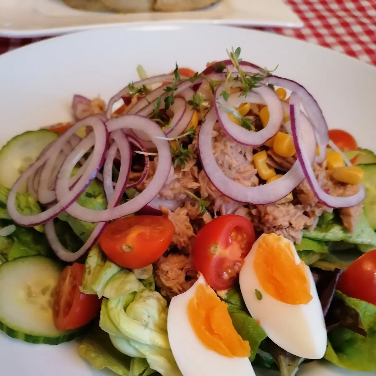 Blattsalat Mit Thunfisch