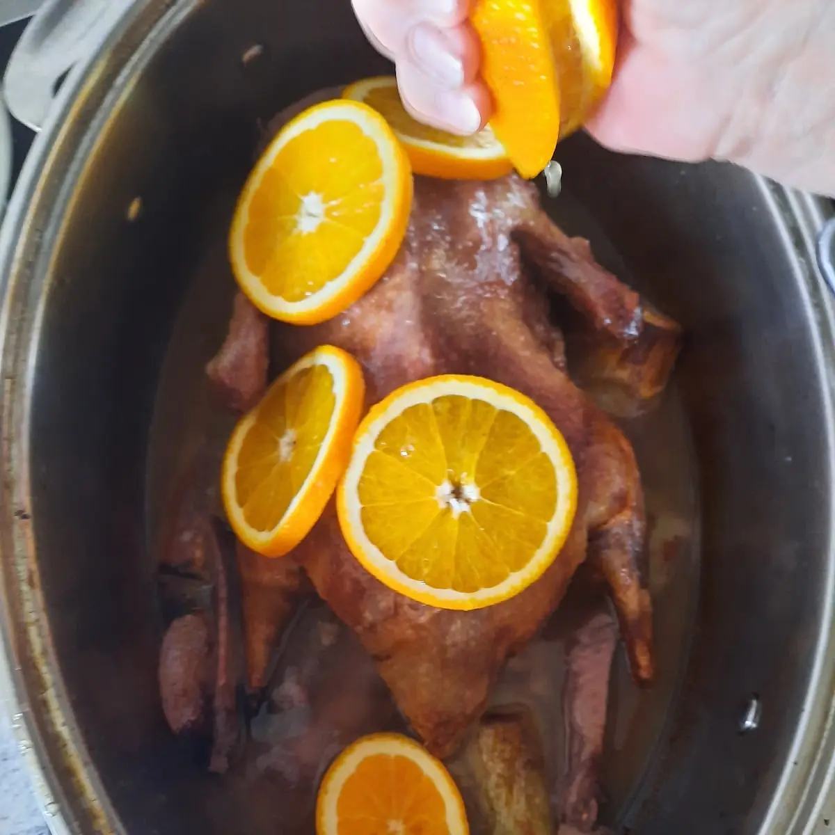 Ente Al Orange