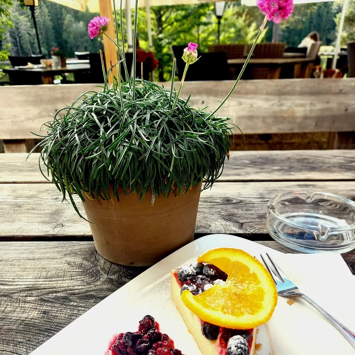 Cheesecake Mit Heidelbeeren