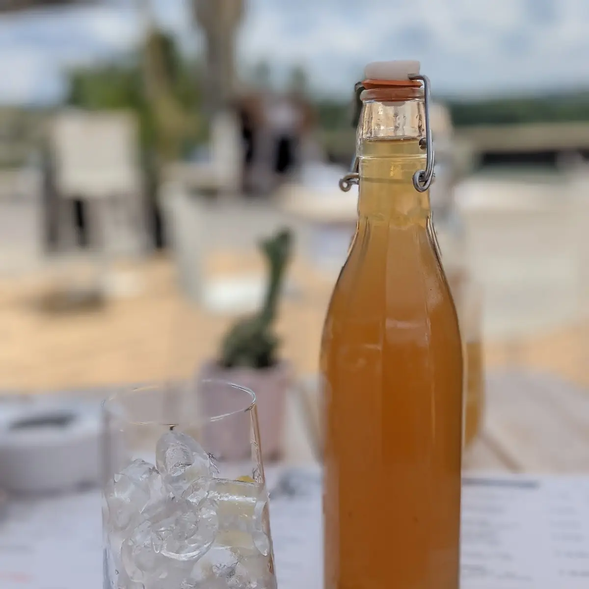 Werft Soda