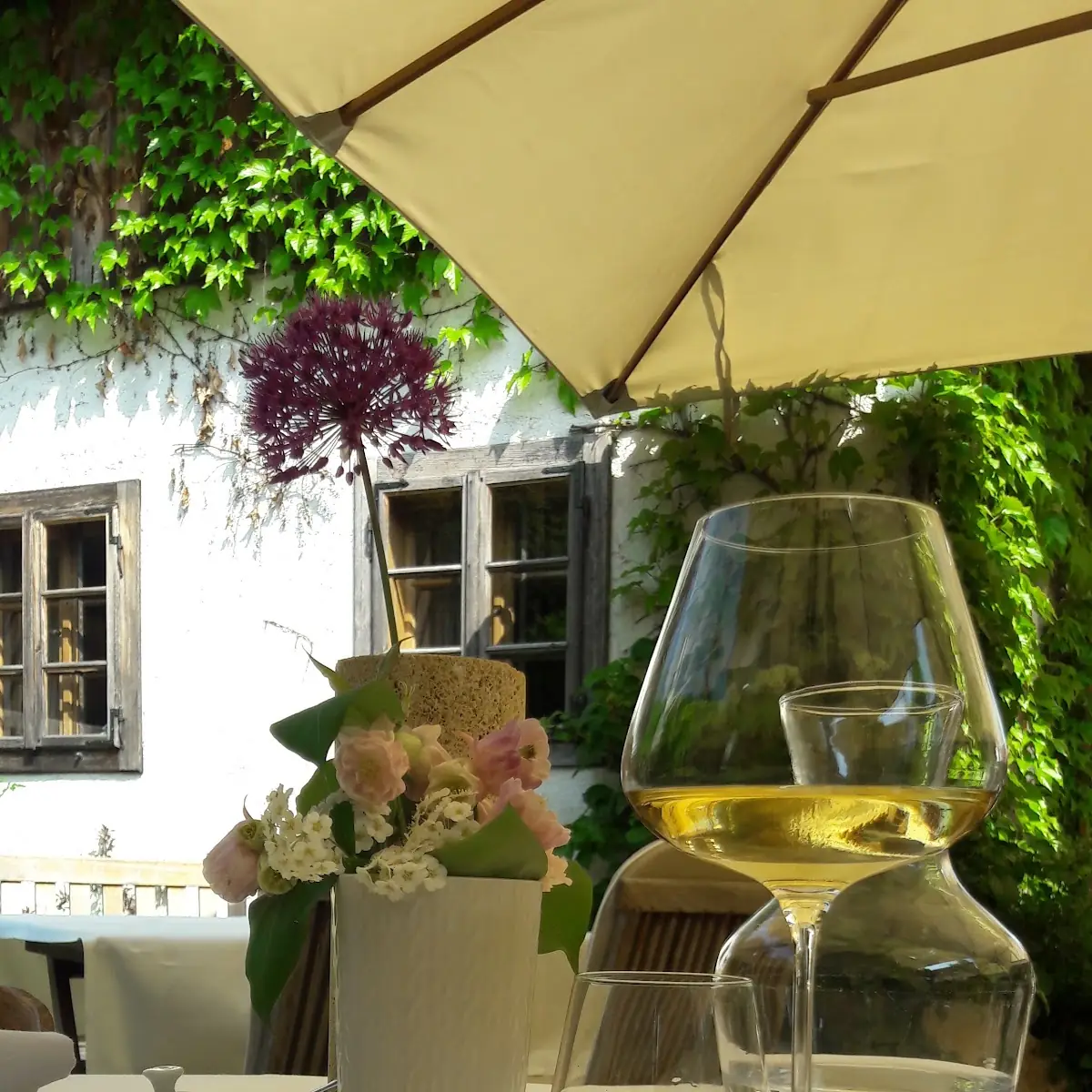 Grüner Veltliner
