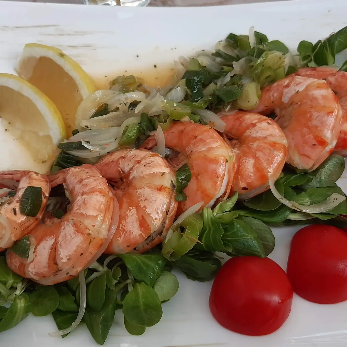 Scampis