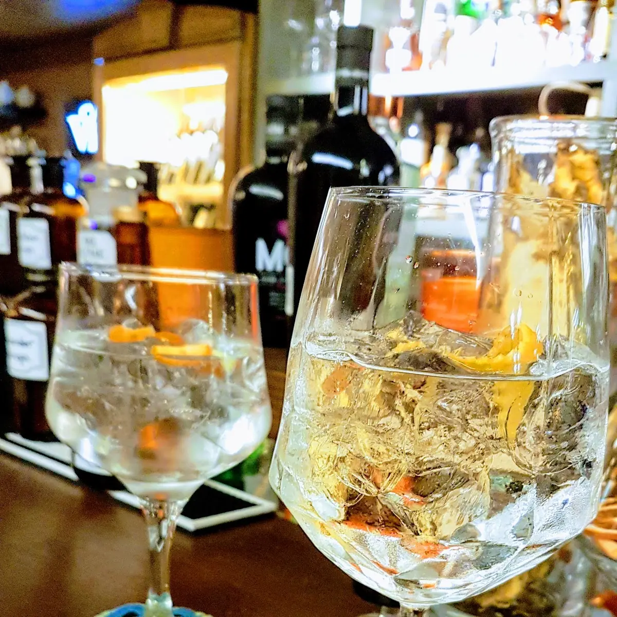 Gin Tonic