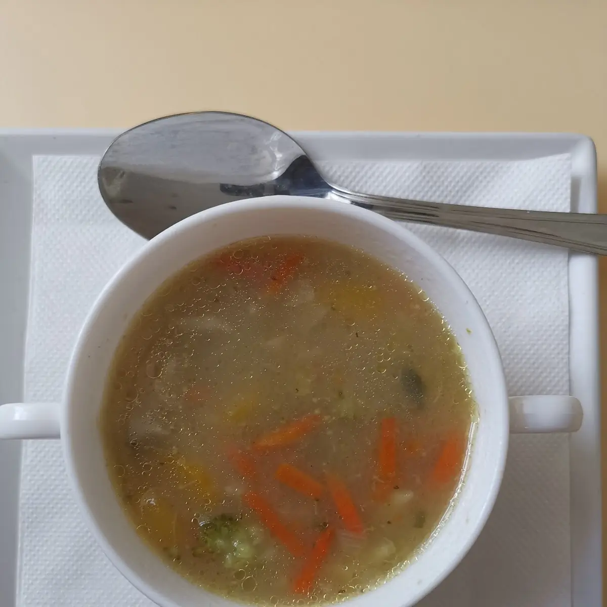 Gemüsesuppe