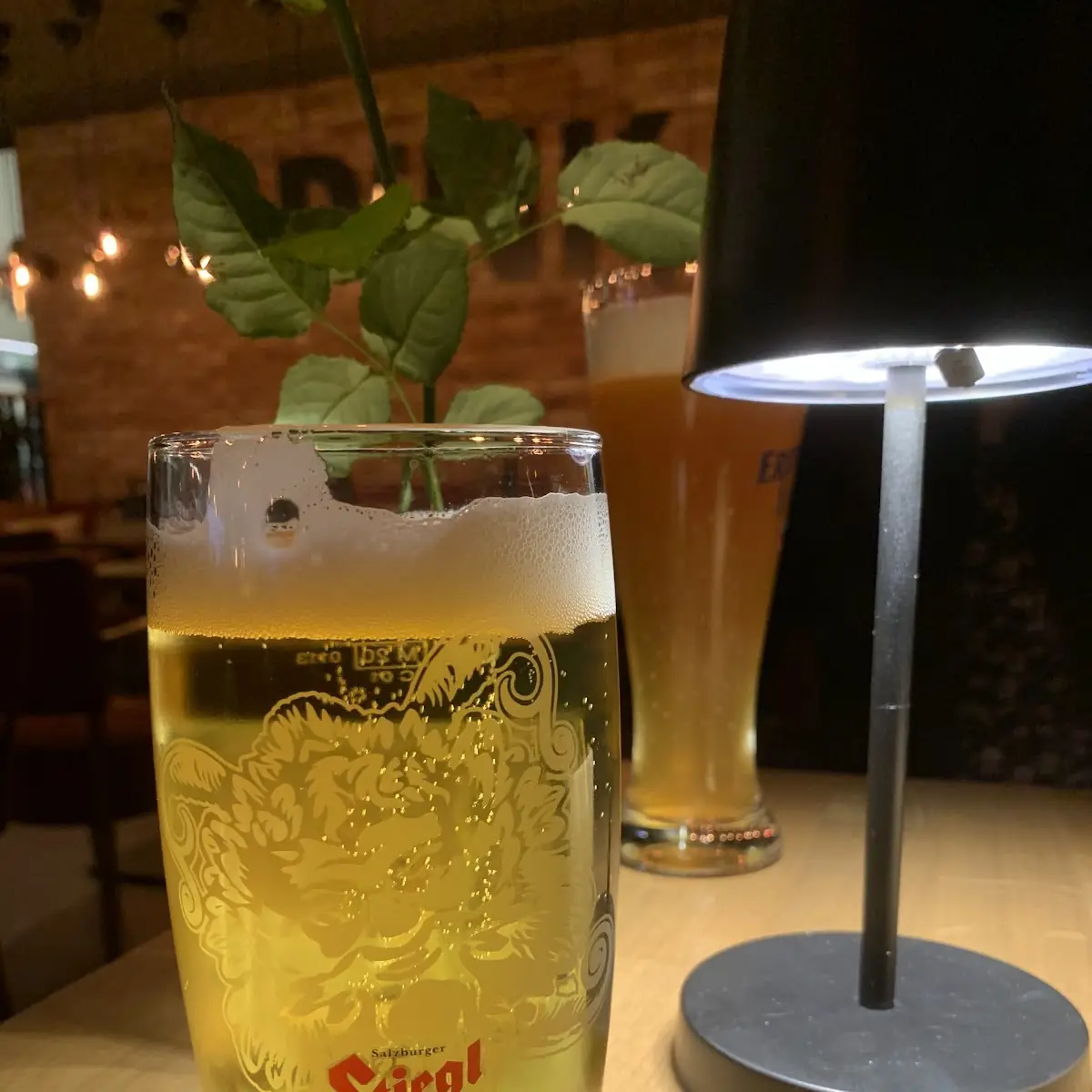 Bier