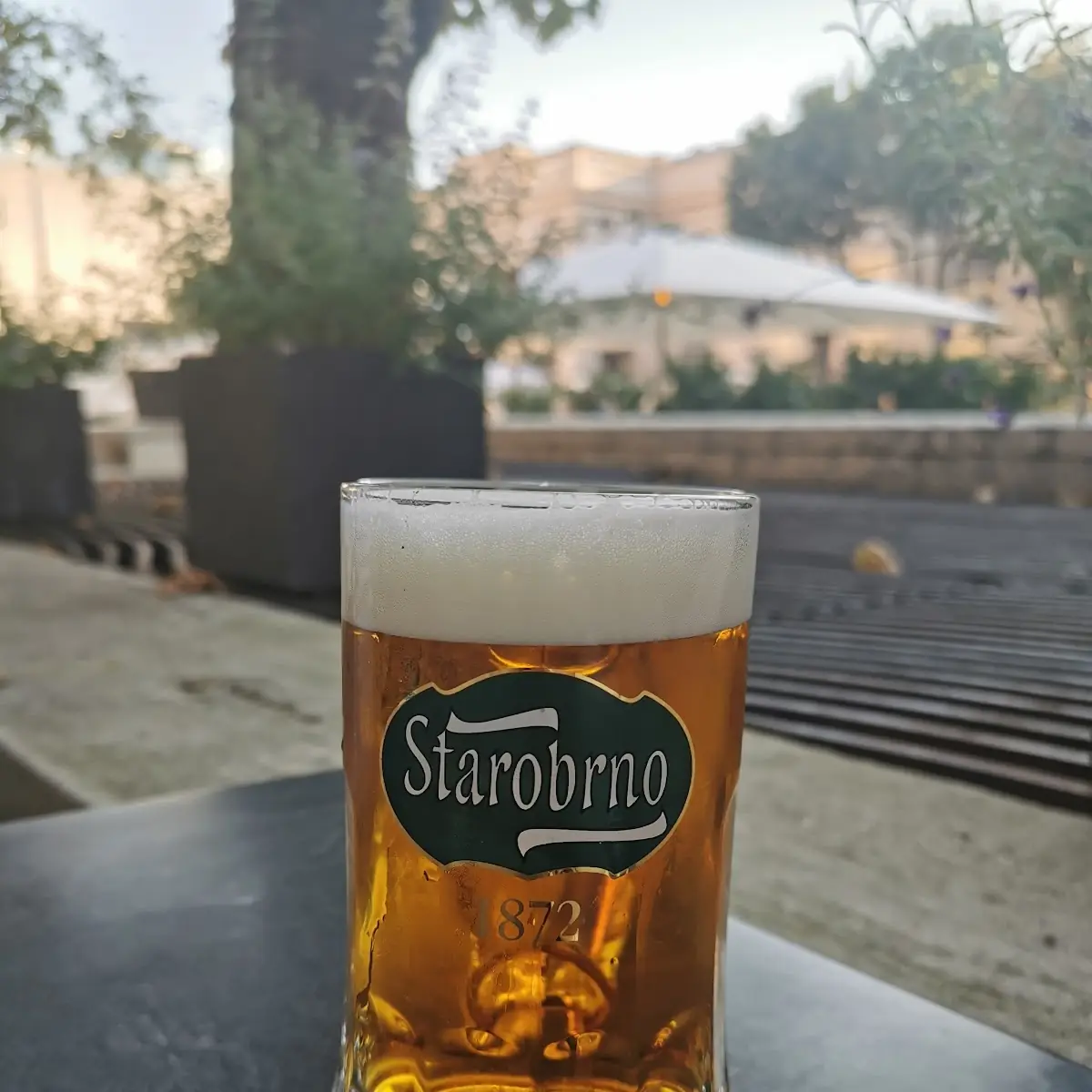 Starobrno