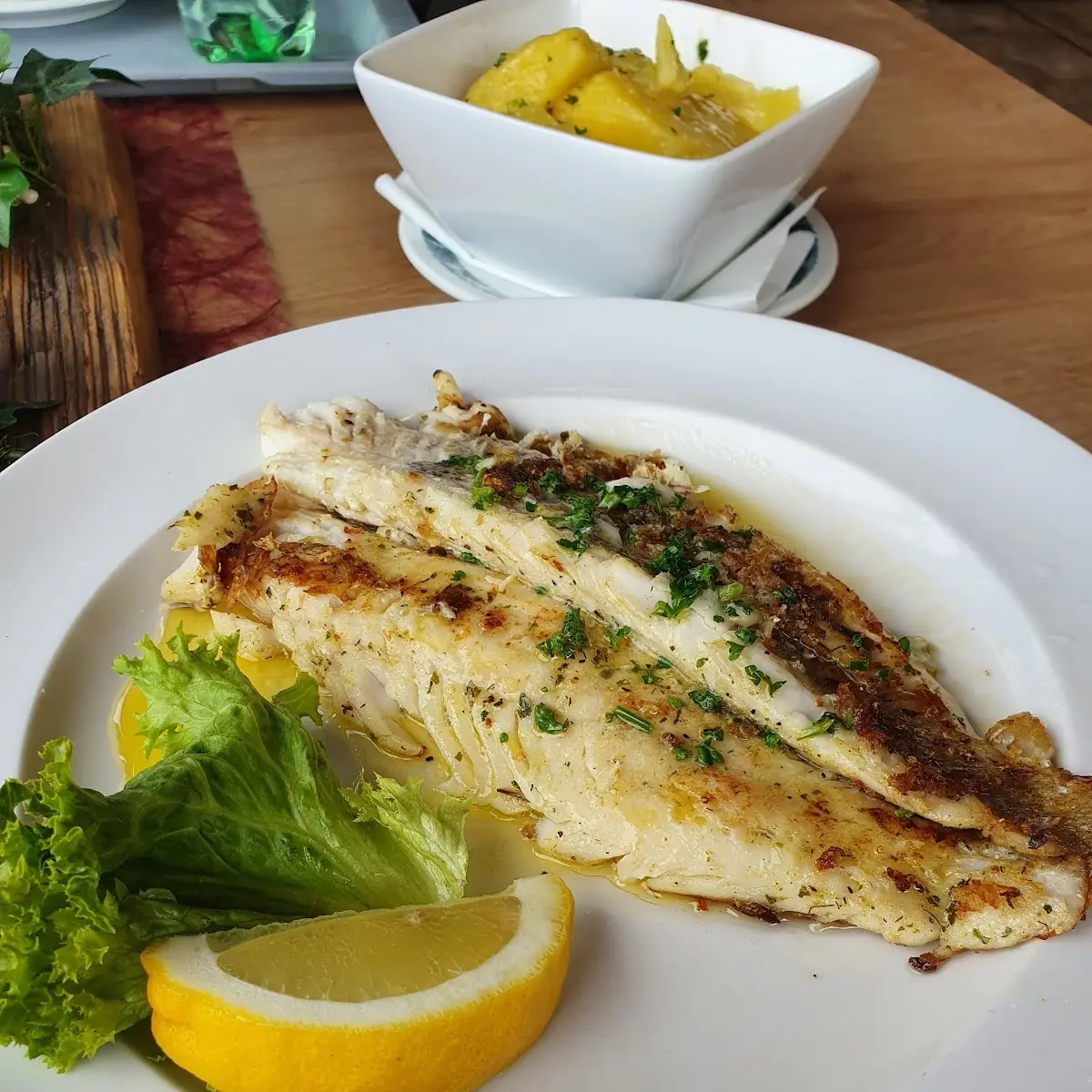 Fish