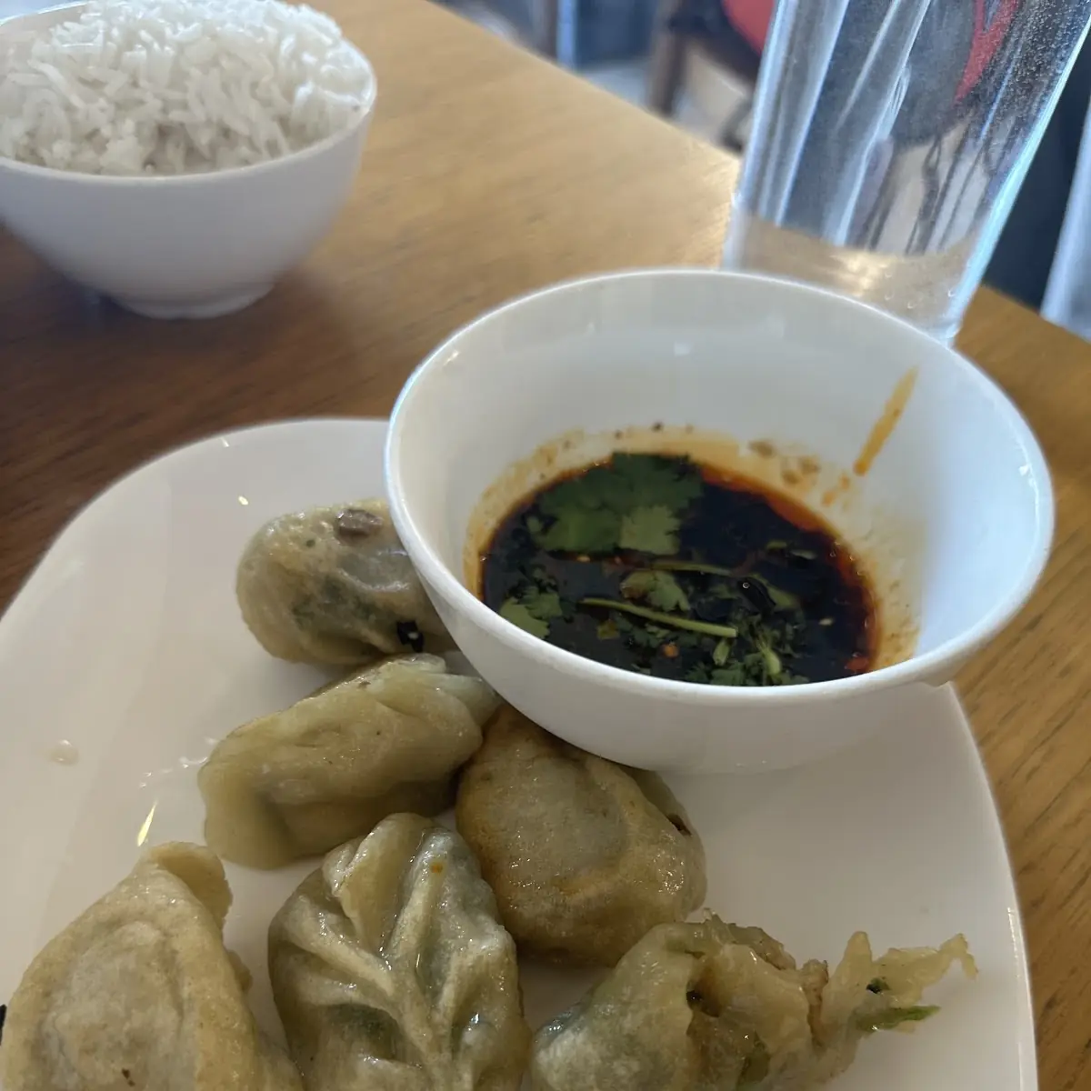 Vegan Dumplings