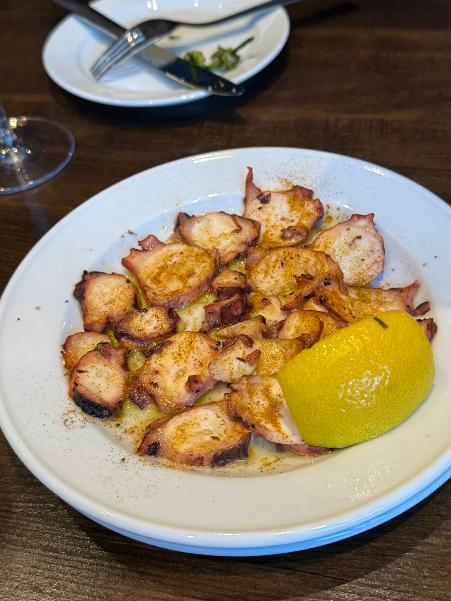 Octopus