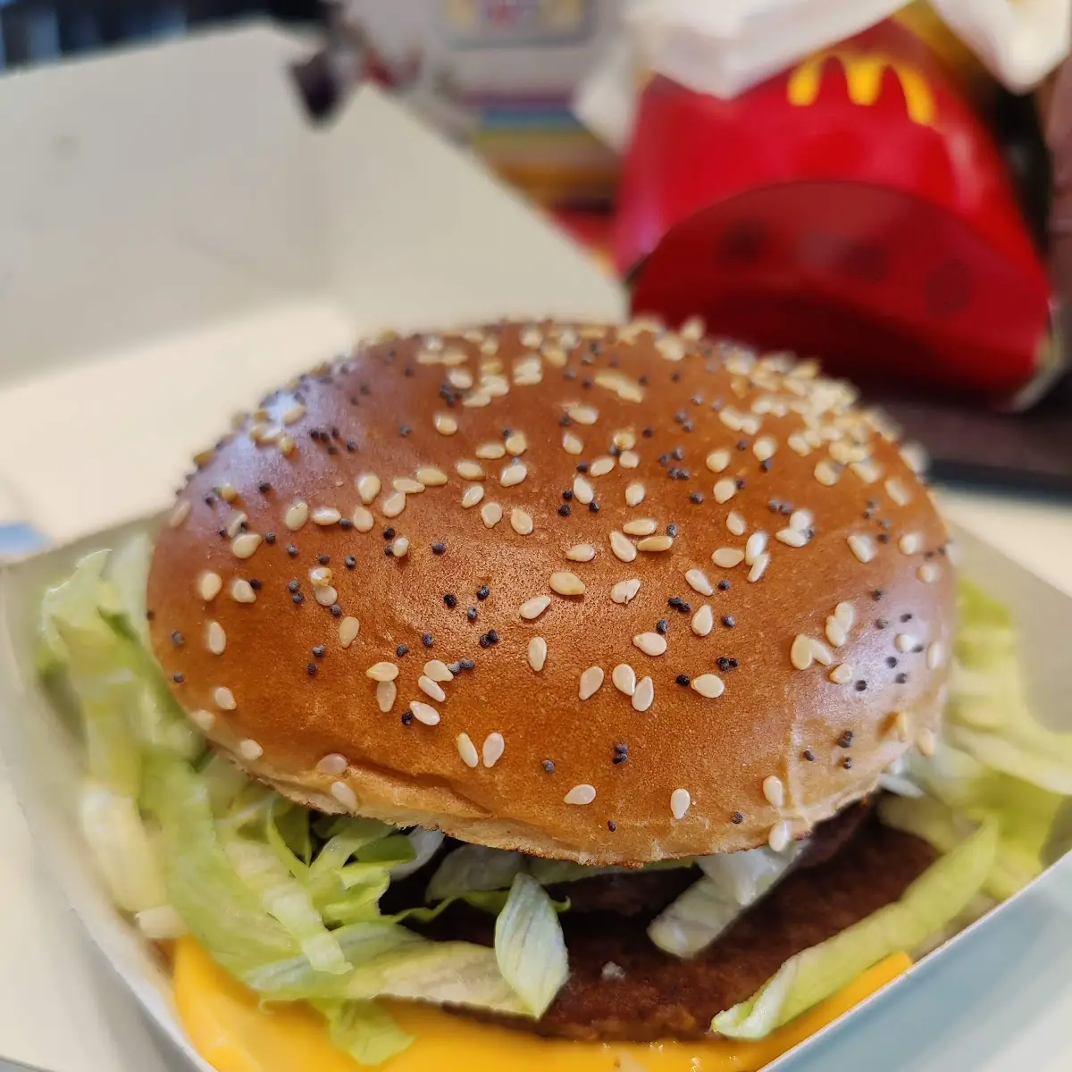 Mcmaestro with Fries