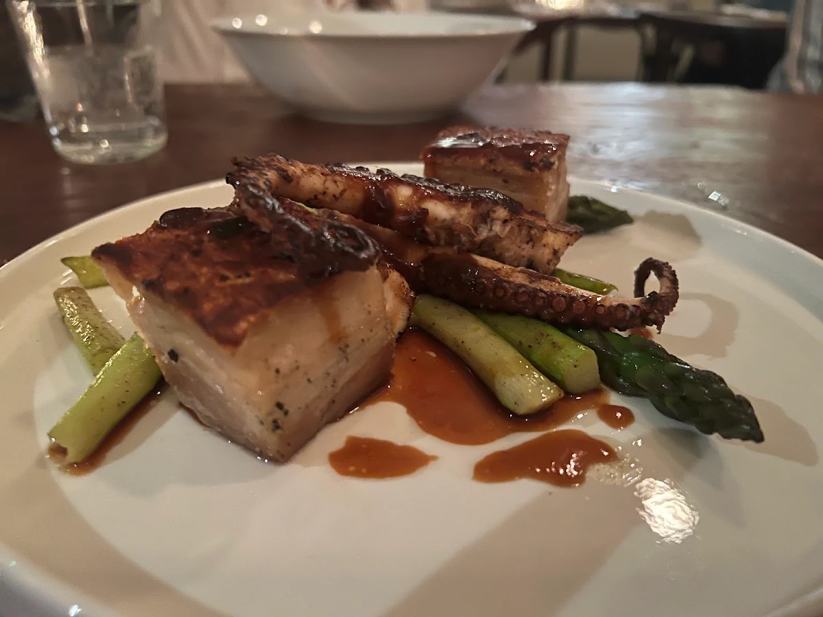 Octopus