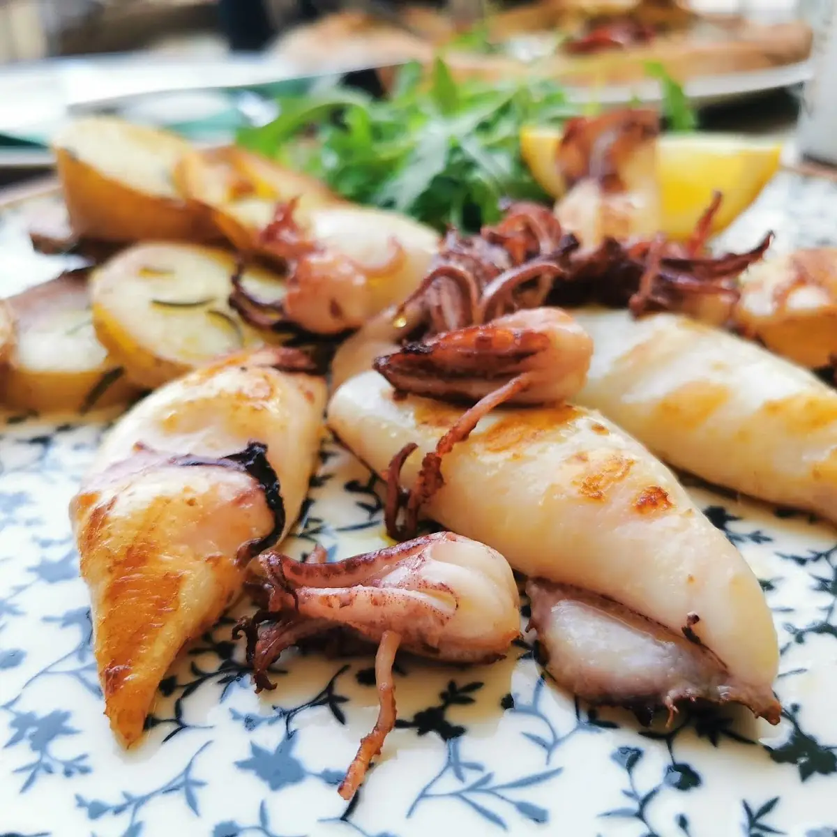 Calamari Alla Griglia, Arco Adige
