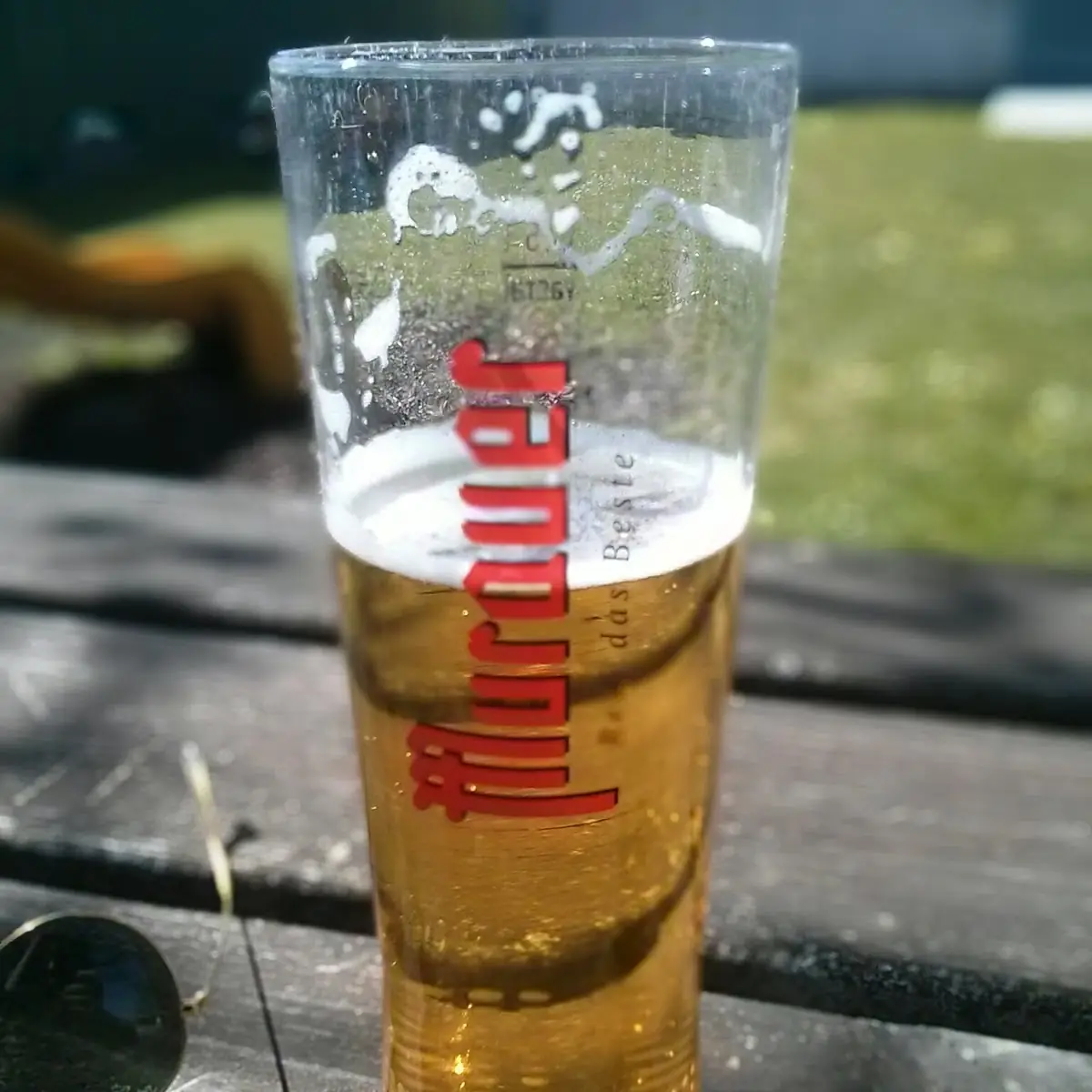 Bier