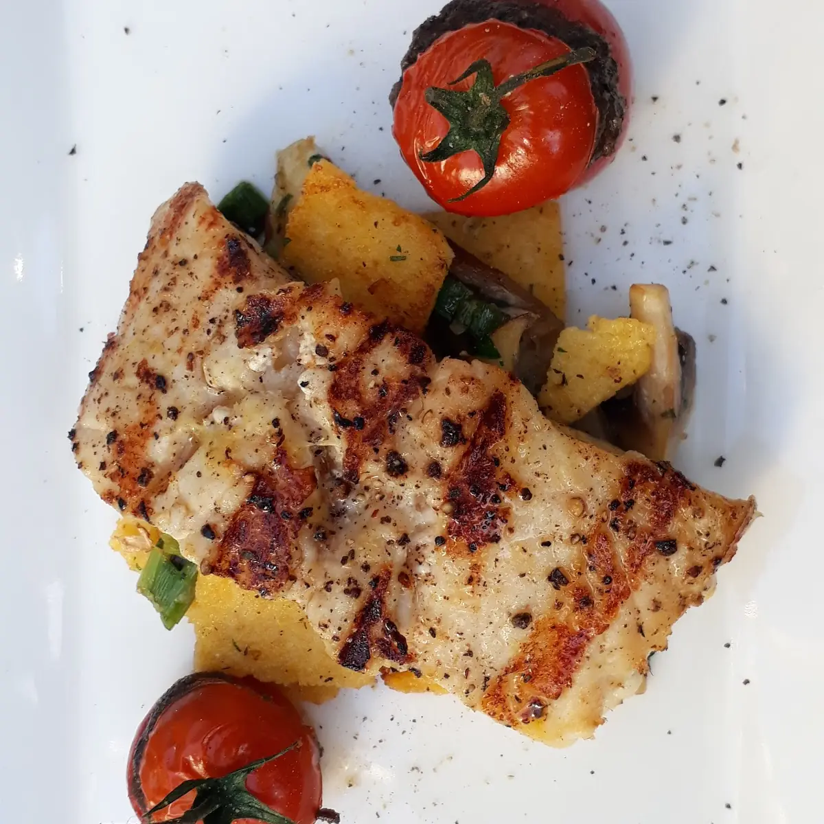 Wels Gegrillt