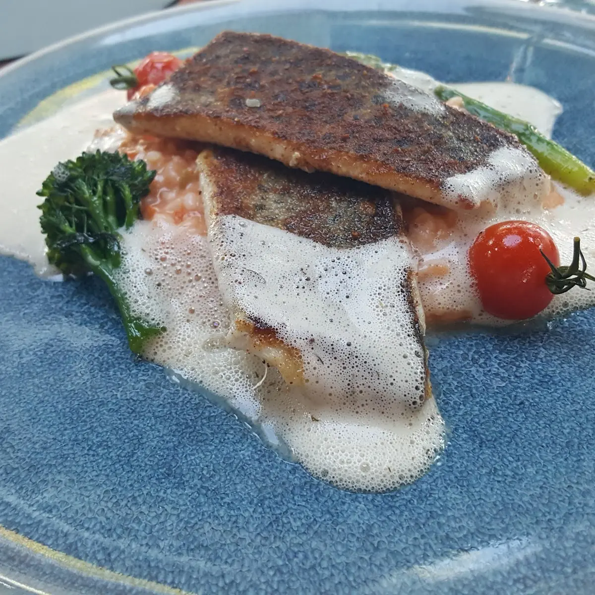 Reinanke Auf Tomatenrossotto