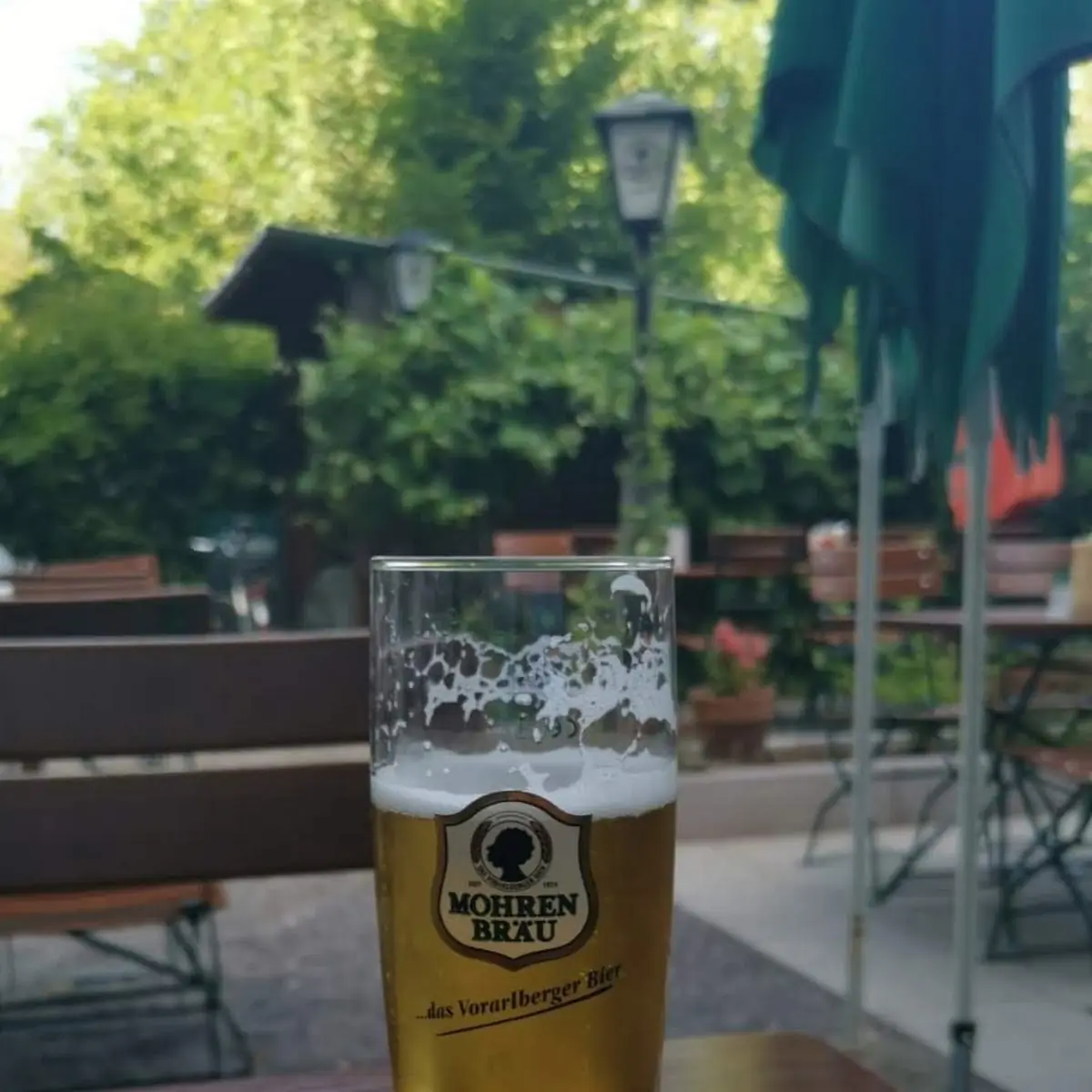Bier