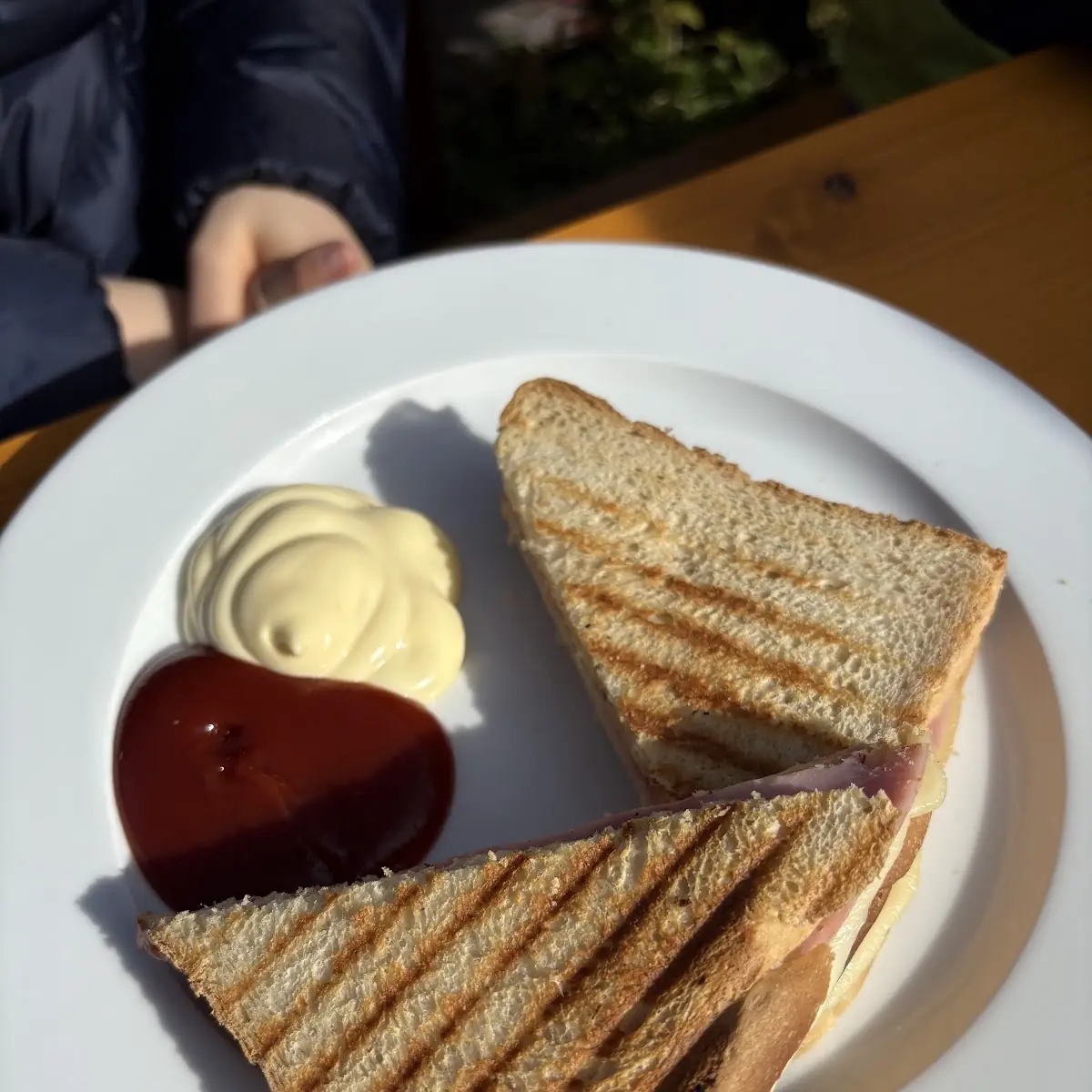 Schinken Käse Toast