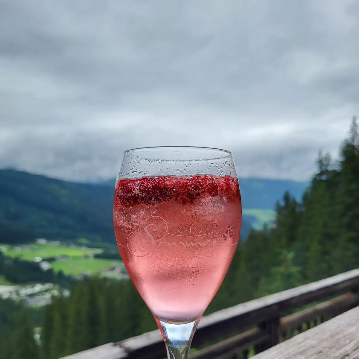 Wildberry Hugo