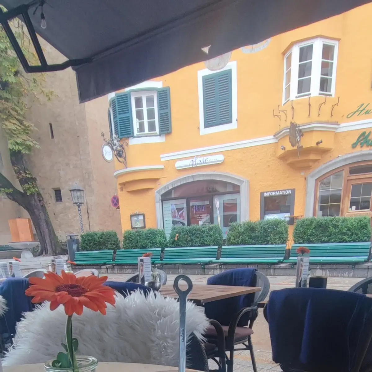 Café Latte