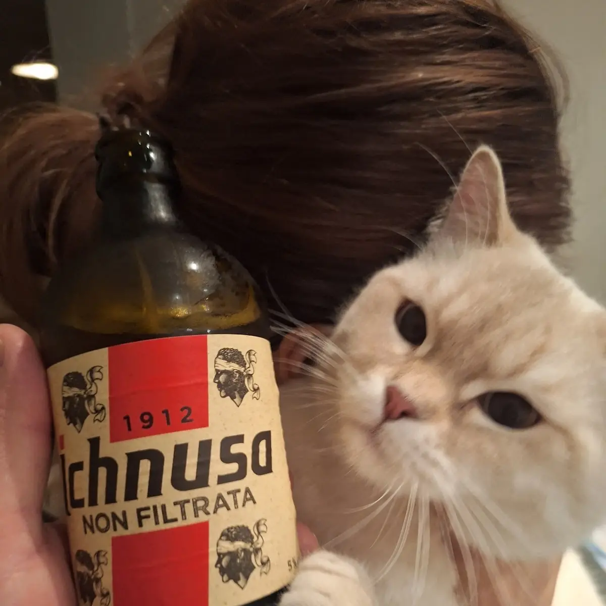 Ichnusa Non Filtrata 0 33l