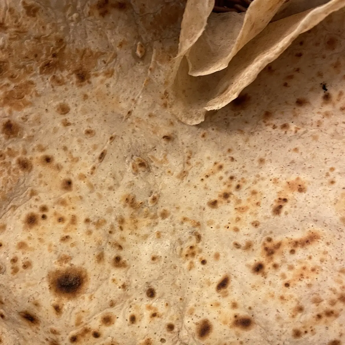 Bread