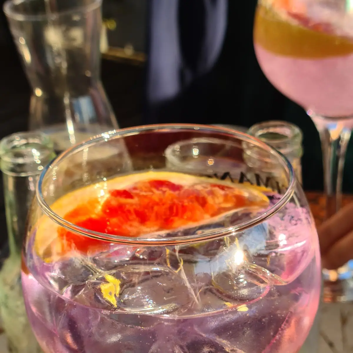 Gin Tonic