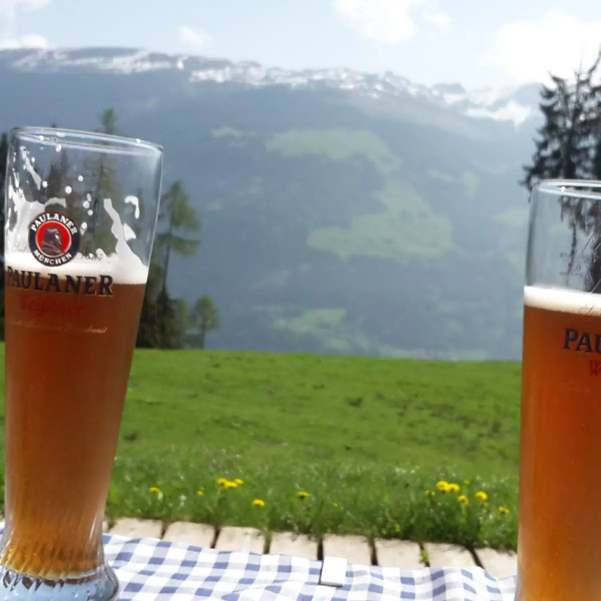 Weißbier Dunkel