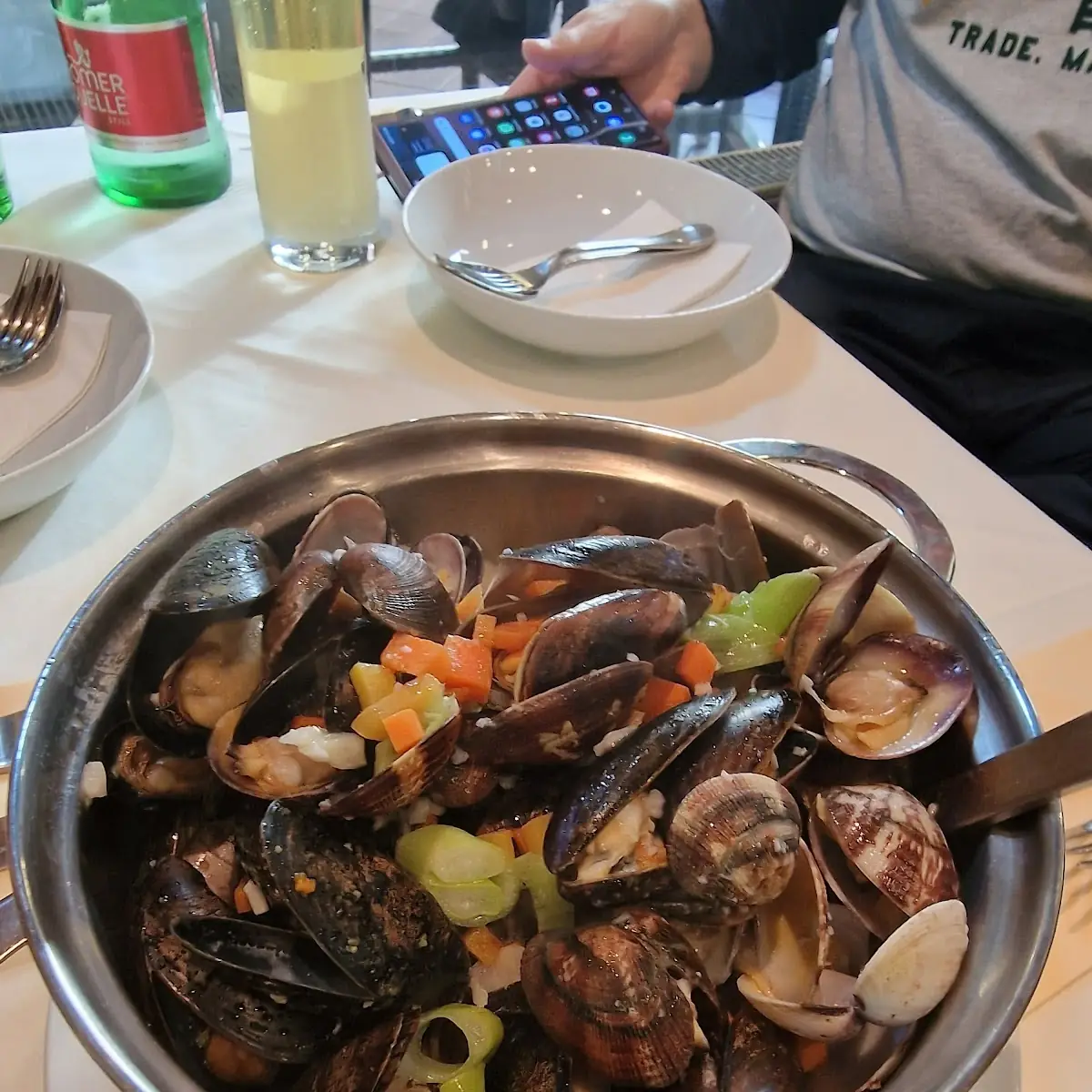 Mussels