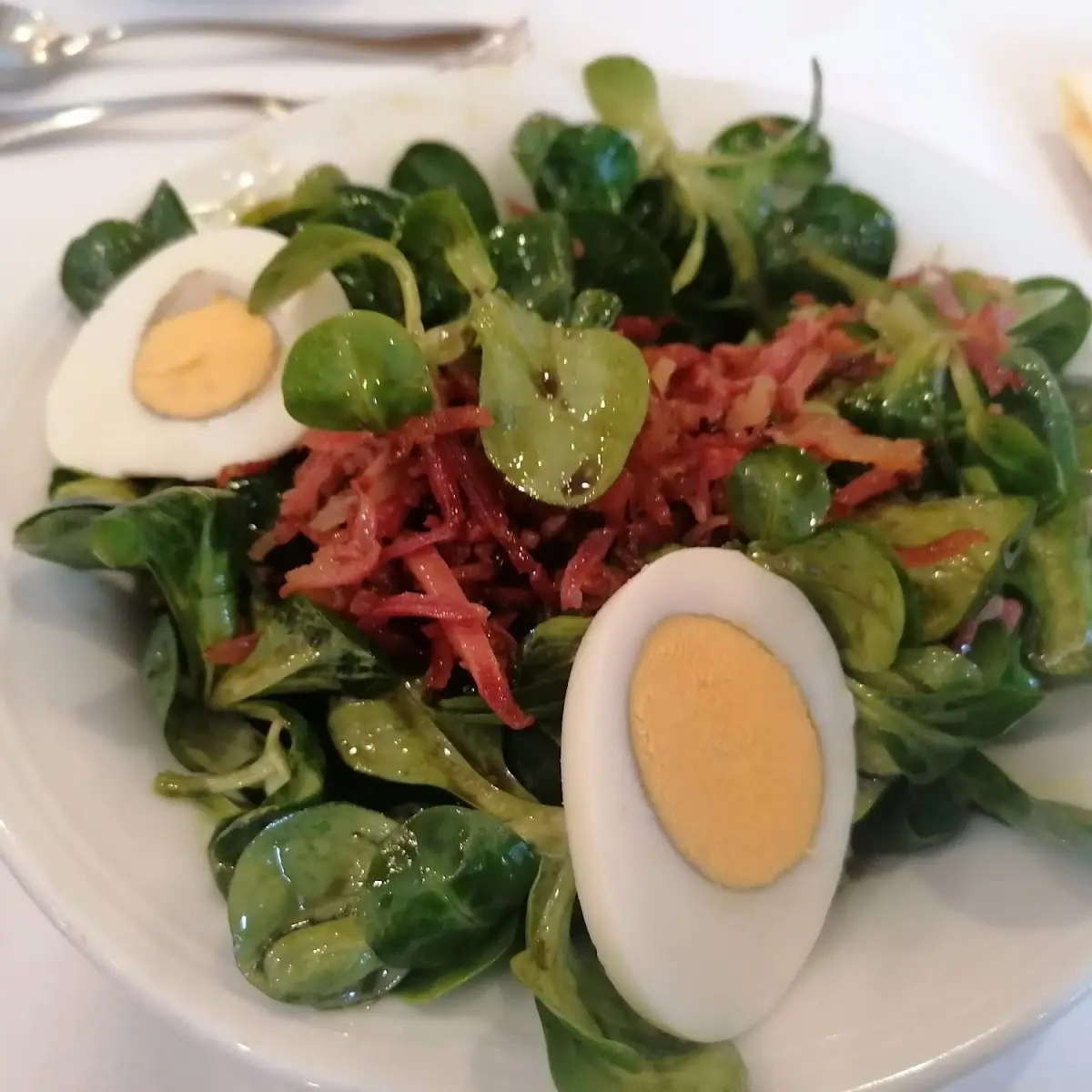 Bester Vogerlsalat