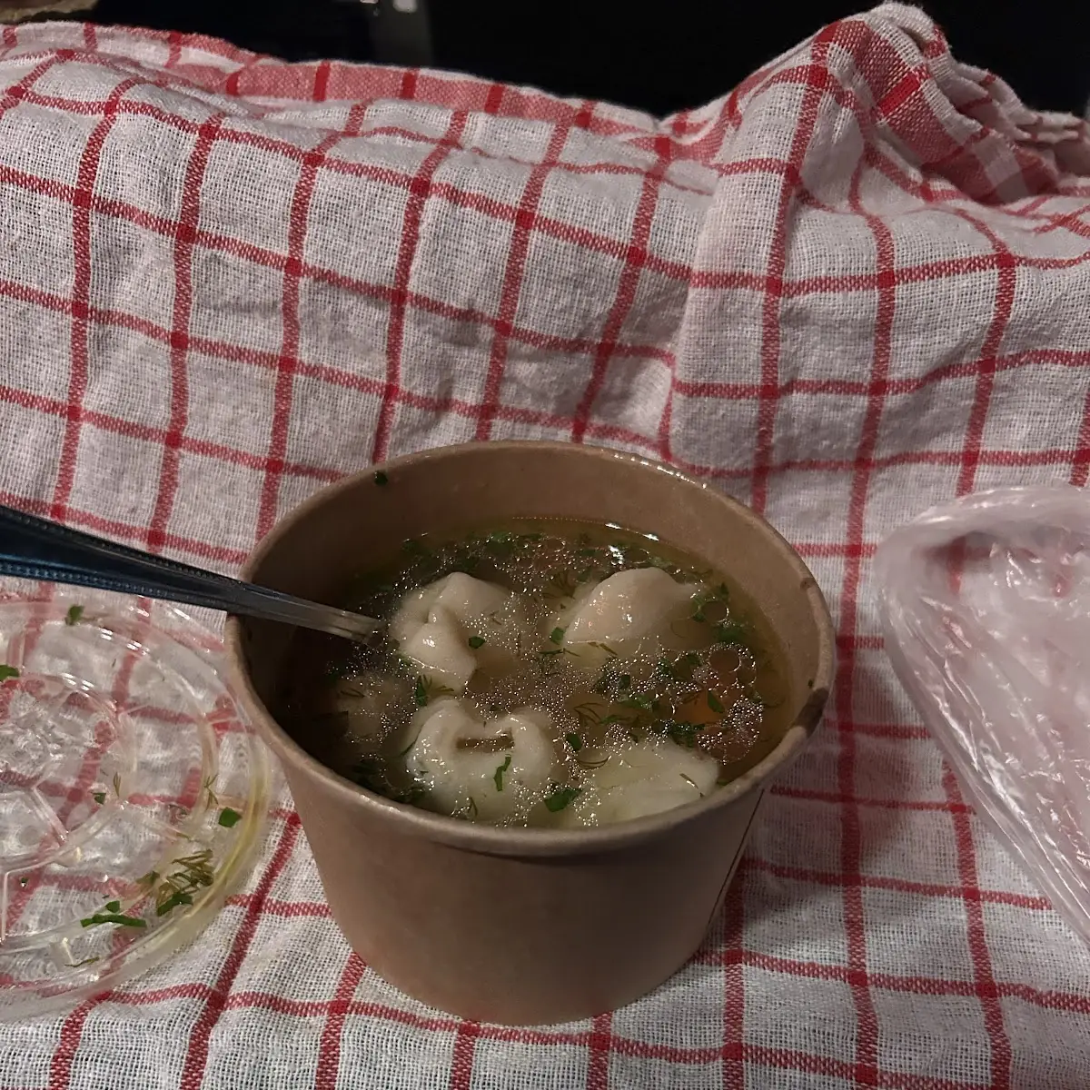 Rindsuppe Mit Fleischgefüllten Mini-pierogi