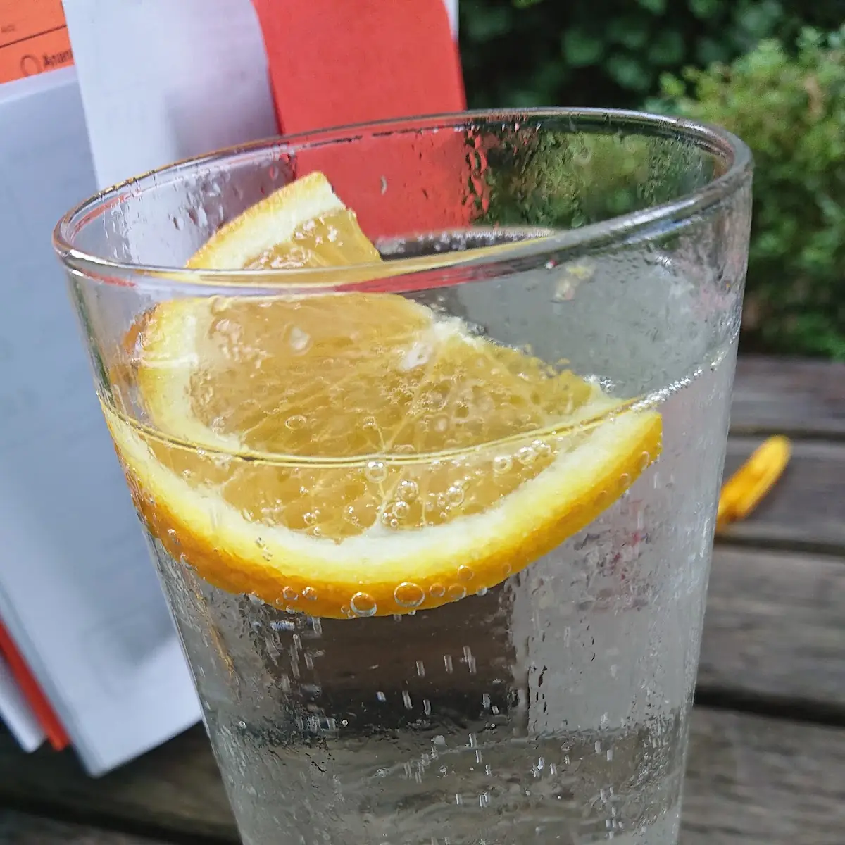 Hollunder Soda