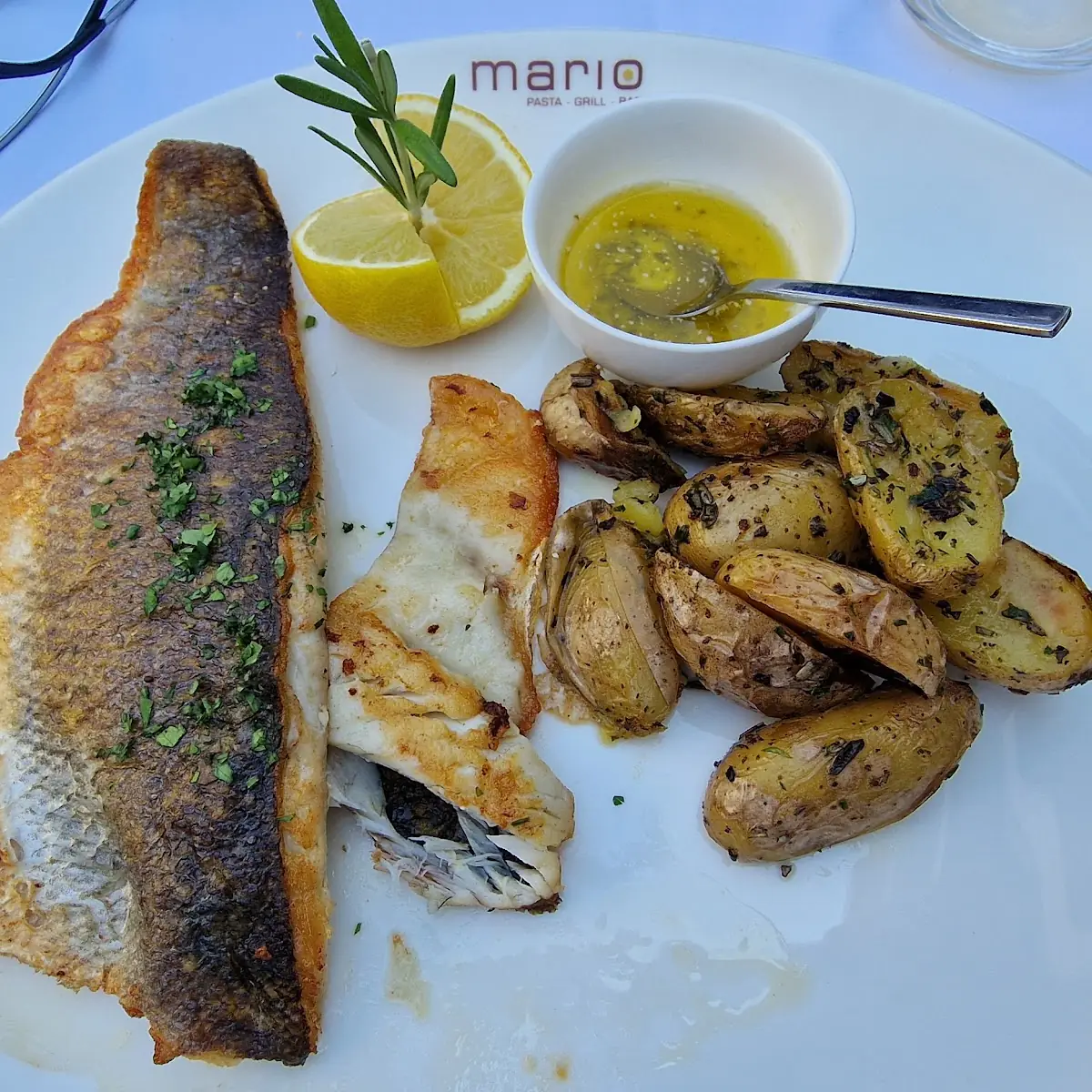 Saibling Filet
