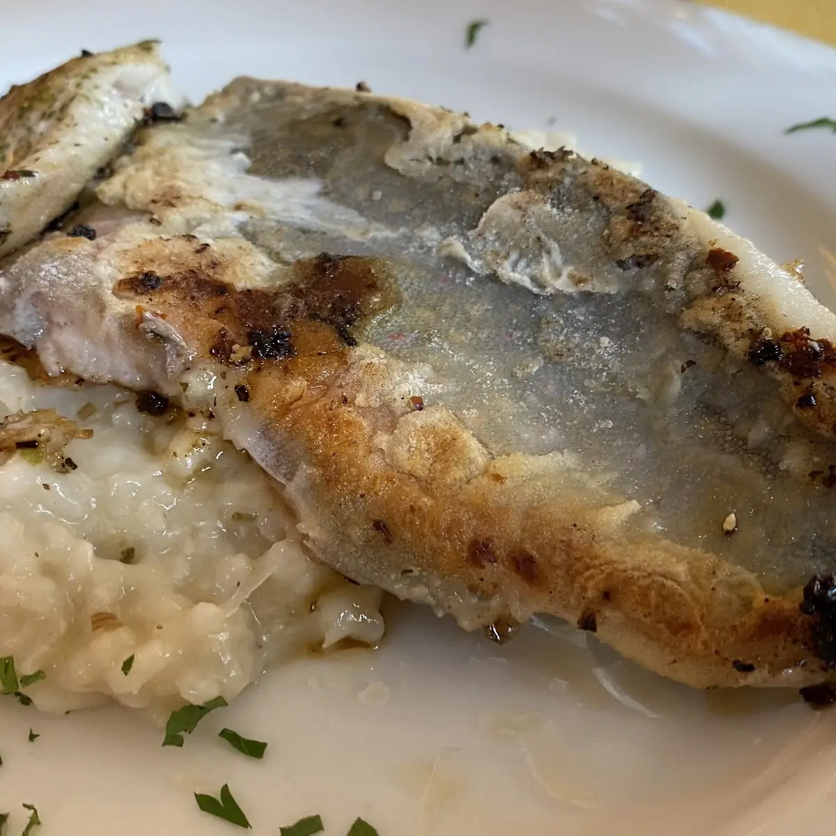 Fish with Risotto