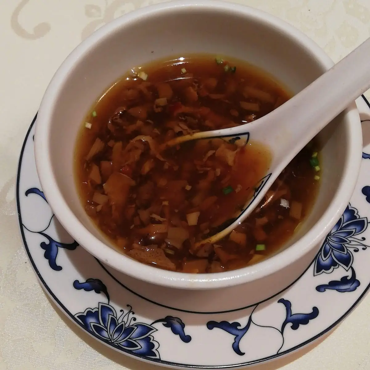 Pikant Säuerliche Suppe