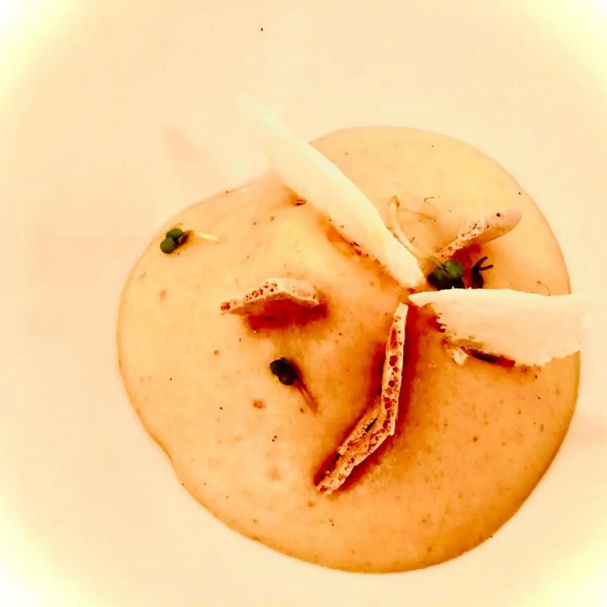 Schokolade Mit Quittenschaum