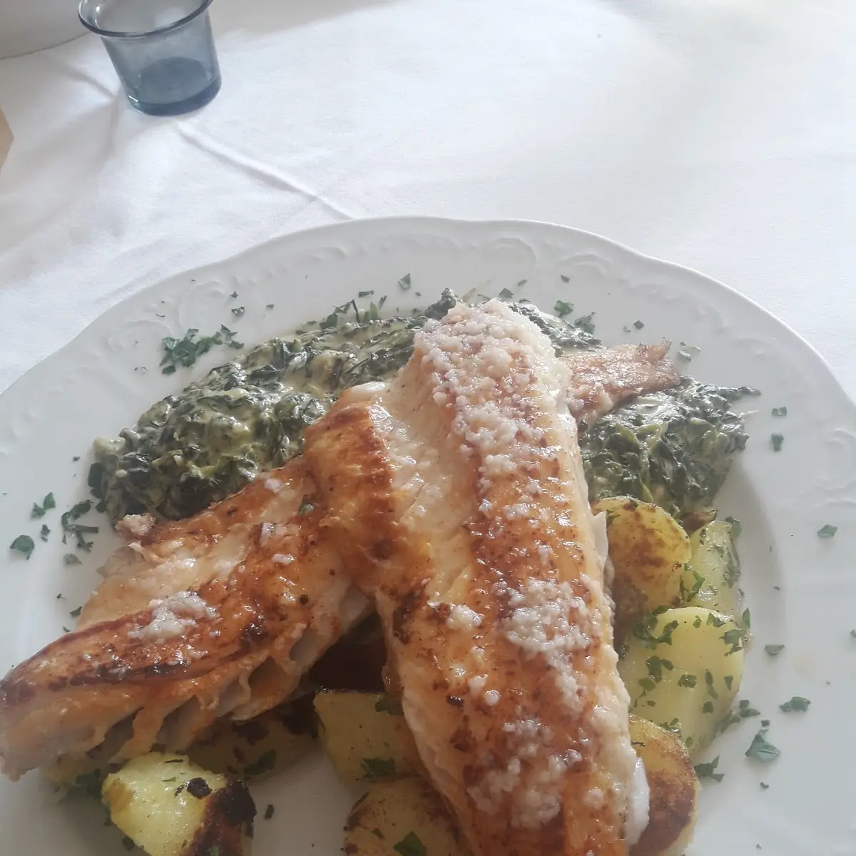 Zanderfilet Gegrillt