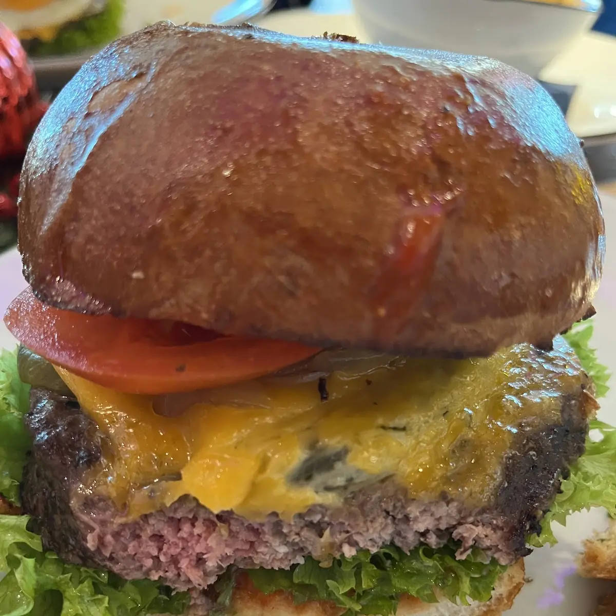 Homemade Hamburger