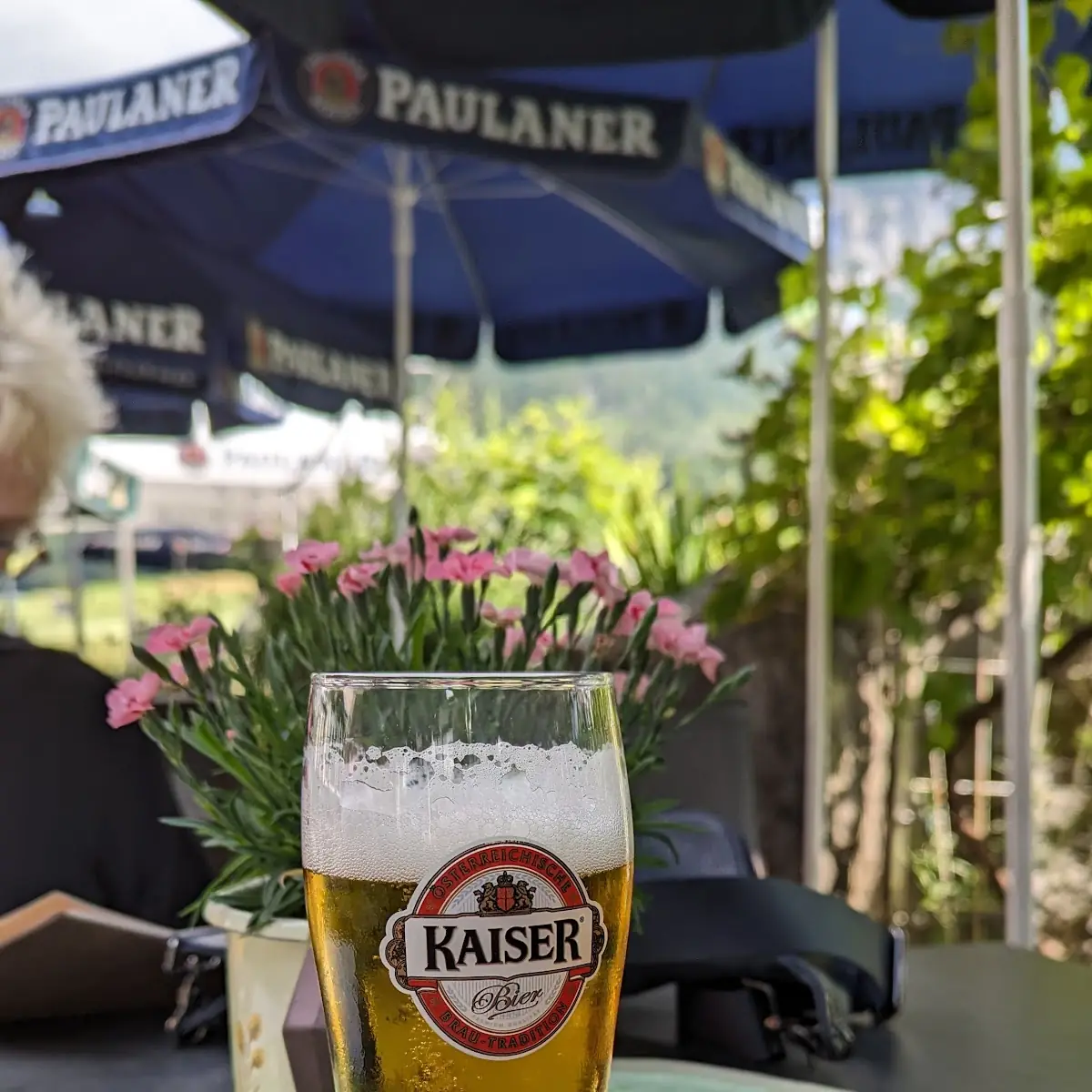 Bier