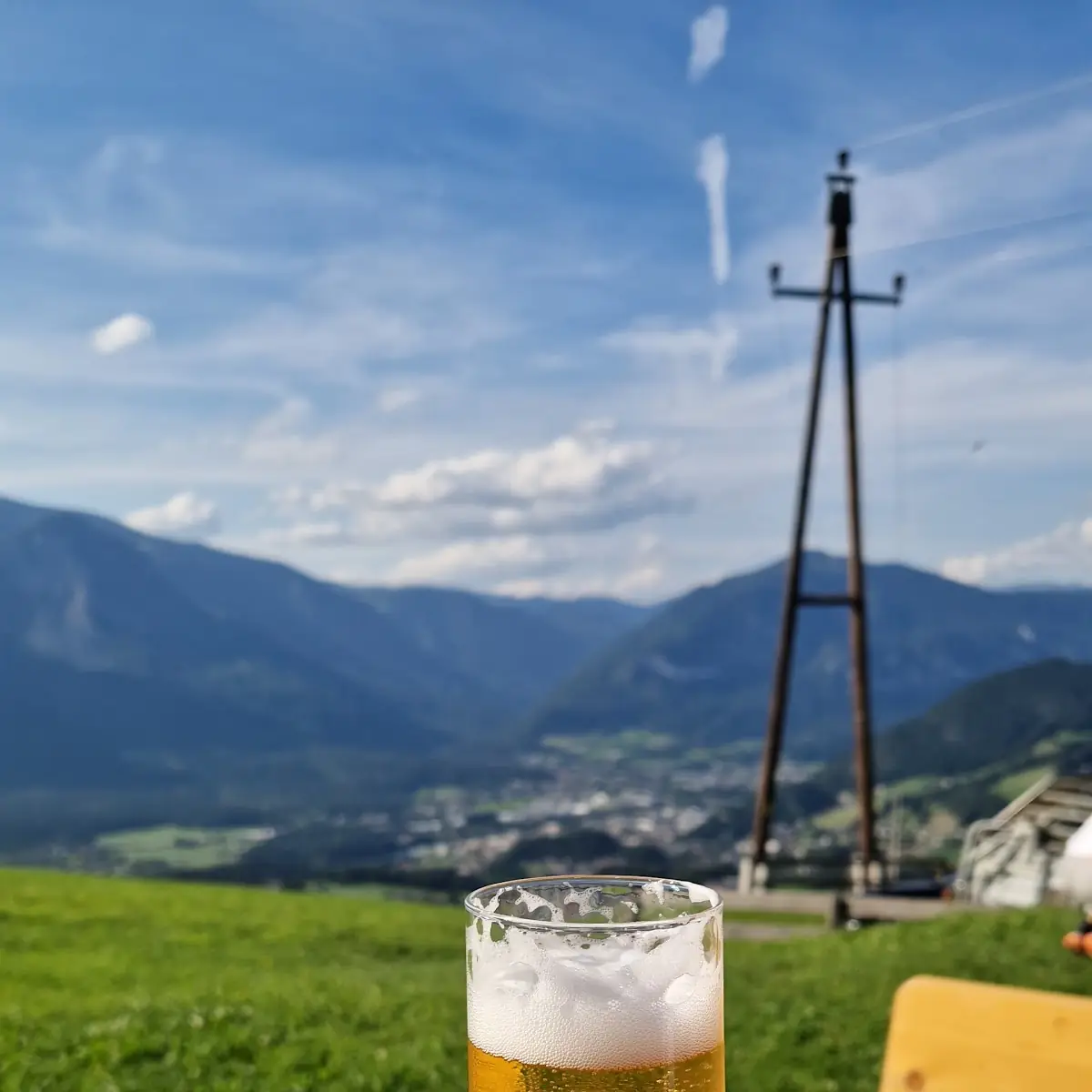 Bier