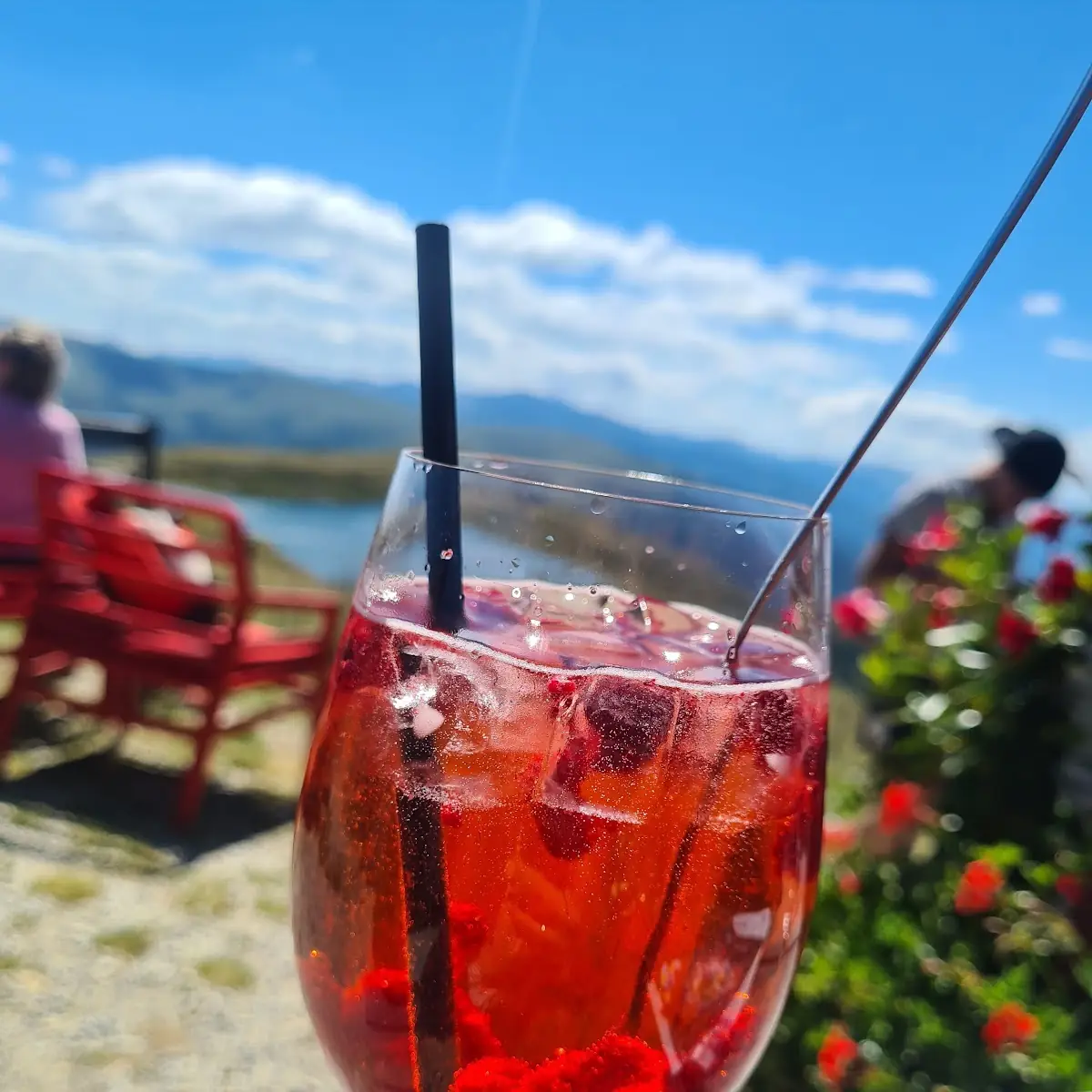 Lillet Wildberry