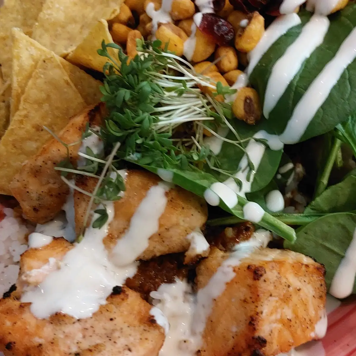 Fisch Bowl