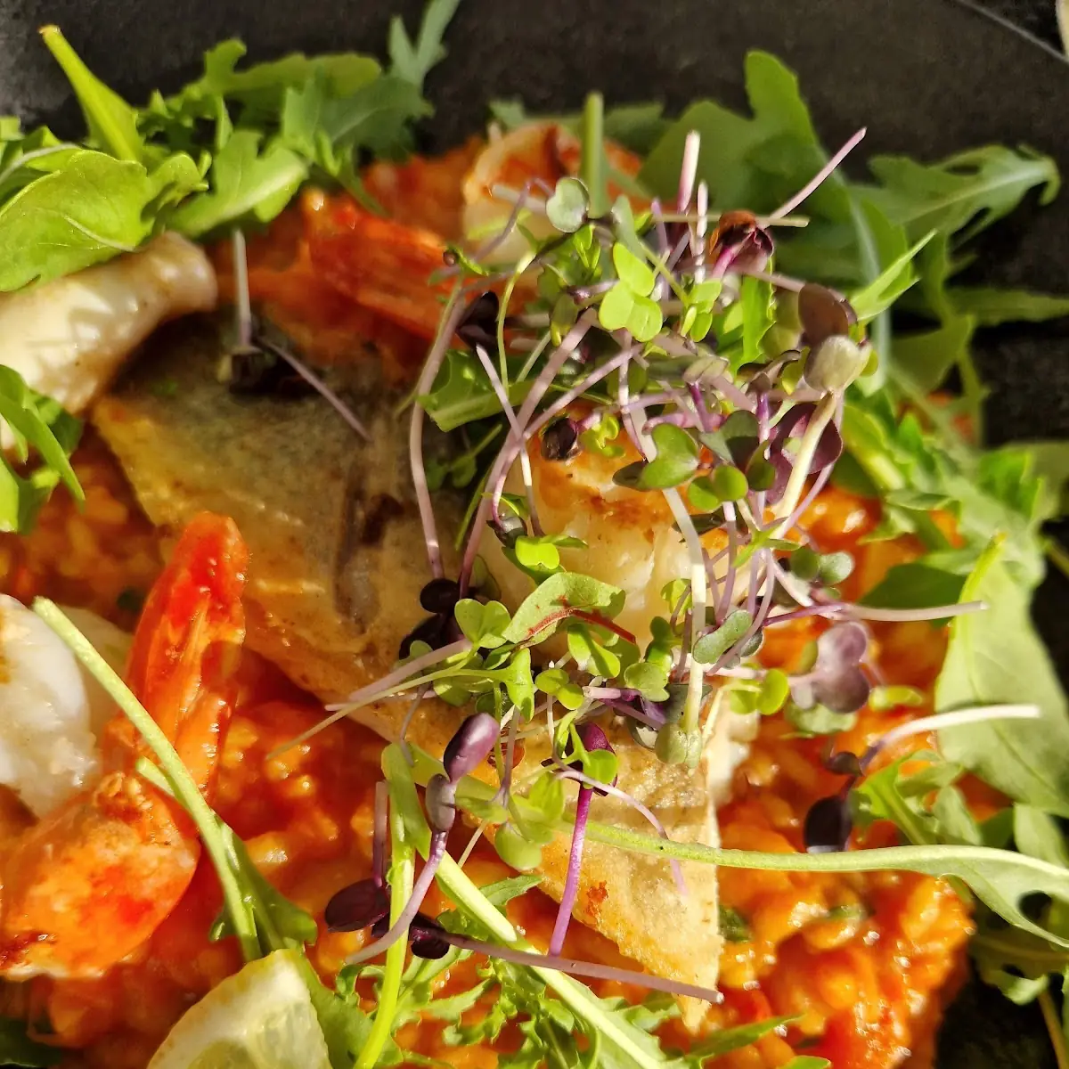 Ceviche