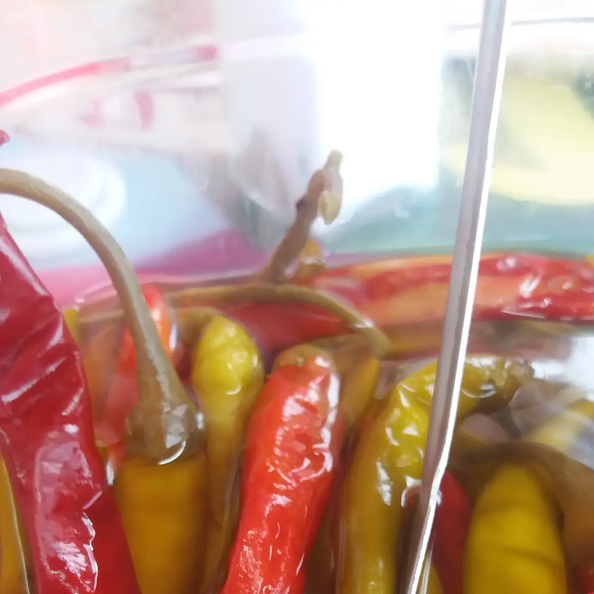 Paprika