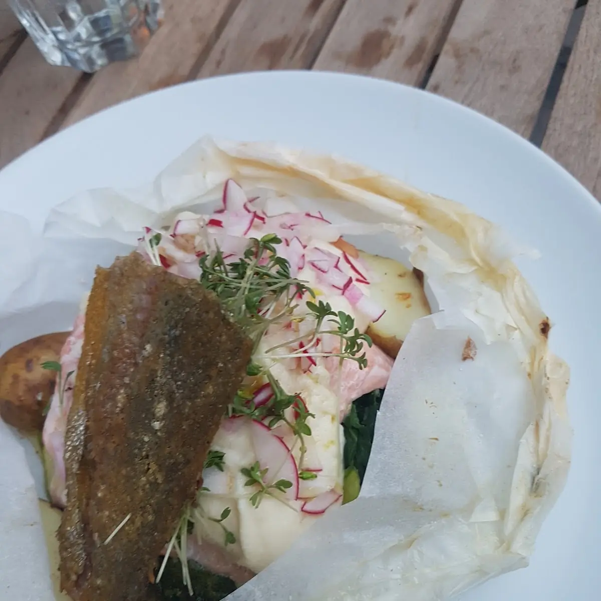Lachsforelle