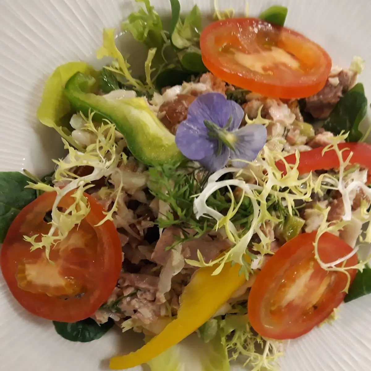 Patagonia Thunfisch Salat