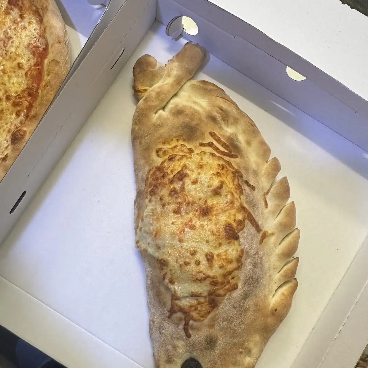 Pizza Calzone Zugeklappt