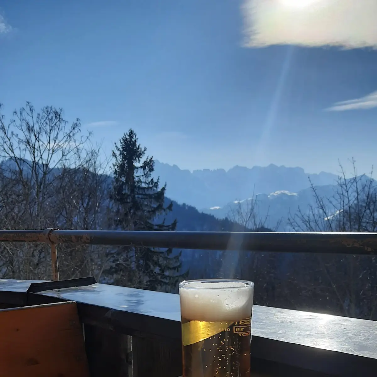 Bier